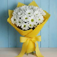 Букет цветов из:  Хризантемы в Алфиомво