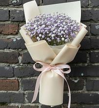 Букет Нежные чувства в Алфиомво Букет цветов из:  Гипсофила в Алфиомво