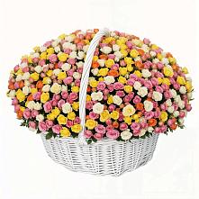 Премиум букет из: Розы в Алфиомво