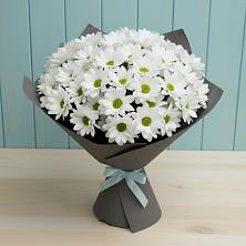 Букет белые хризантемы в Алфиомво Букет цветов из:  Хризантемы в Алфиомво