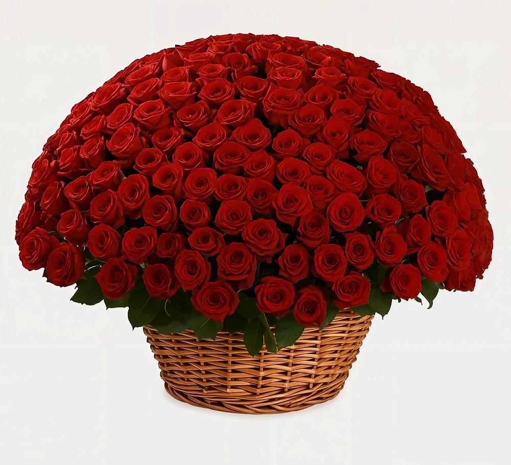 Премиум букет из: Розы в Алфиомво