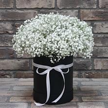 Композиция коробка гипсофил в Алфиомво Цветочная композиция из Гипсофила в шляпной коробке в Алфиомво